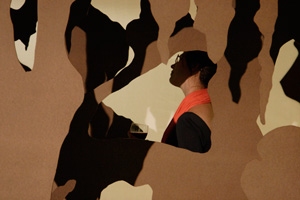 Echo's Chamber Jane Deering Gallery Stephanie Cardon masonite, fir, paint, sound