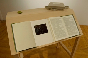 Lando's Cottage Jane Deering Gallery Stephanie Cardon book, Basswood desk, wall appendices