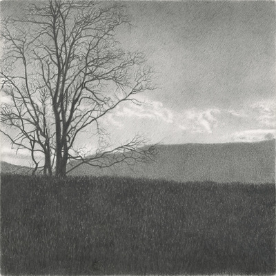Untitled (lone tree, Cape Ann) Jane Deering Gallery Gloucester, Cape Ann | of time and place Archival pigment print from an original drawing