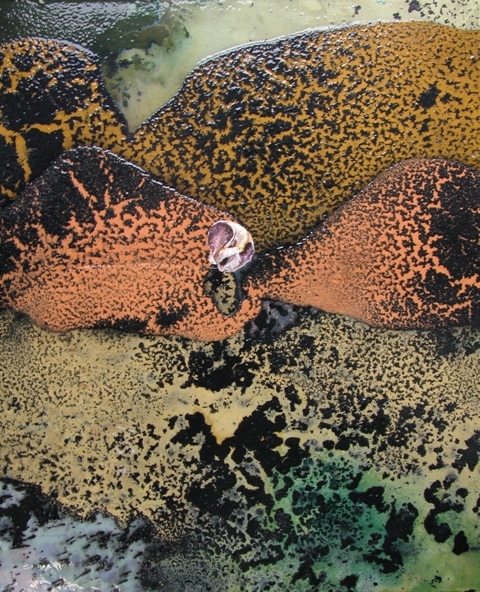 Beneath the Surface #3 Jane Deering Gallery Michael Porter Gouache & pva on paper