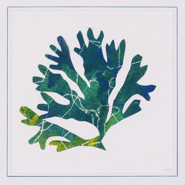 Magnolia Beach Sea Garden, Gloucester, Massachusetts Jane Deering Gallery Awry | Just Breathe Mixed media on paper