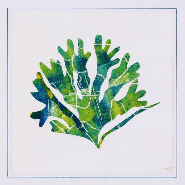 Pebble Beach Sea Garden, Rockport, Massachusetts Jane Deering Gallery Awry | Just Breathe Mixed media on paper