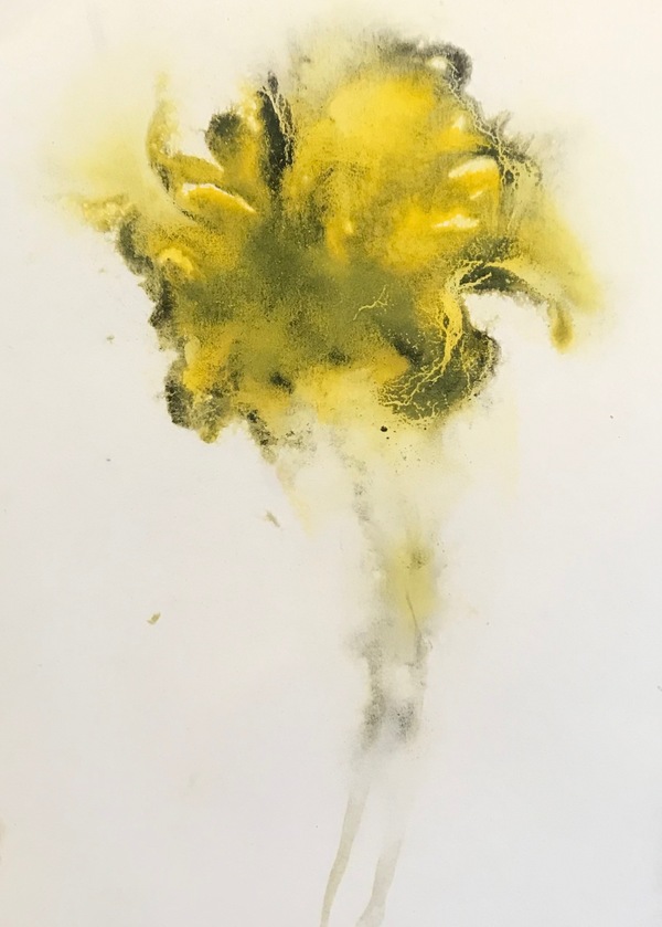 #53 Jane Deering Gallery Absolute Secret 2020