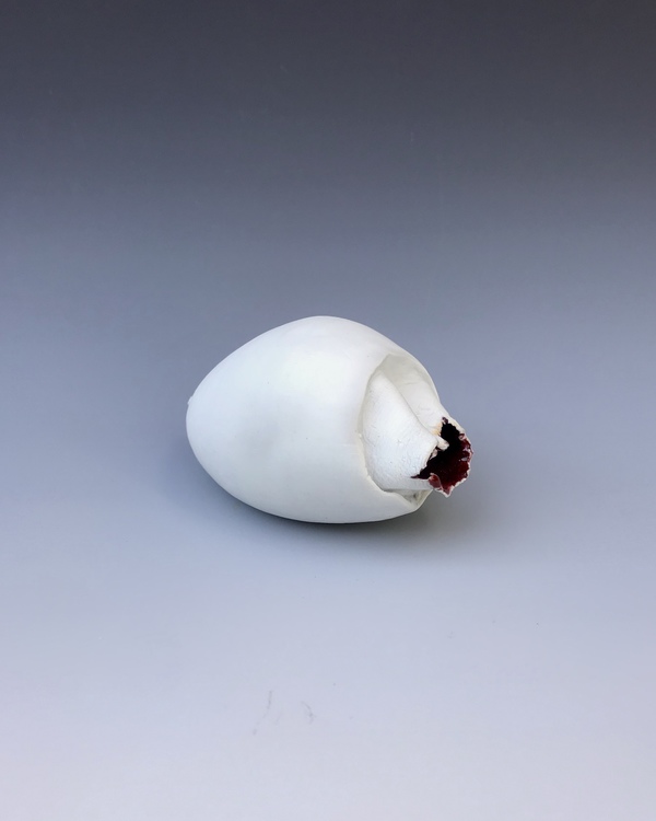 #42 Jane Deering Gallery Absolute Secret 2020