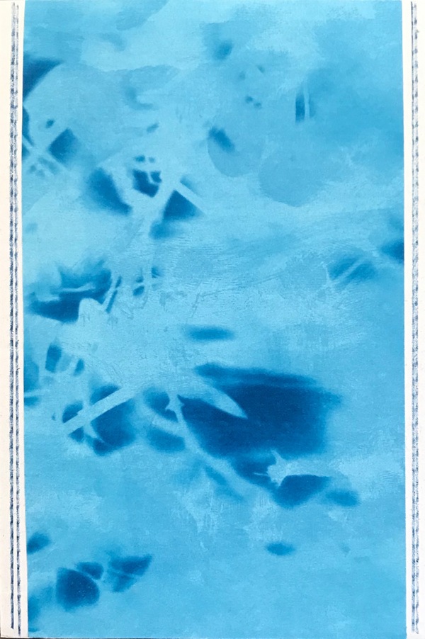 #36 Jane Deering Gallery Absolute Secret 2020