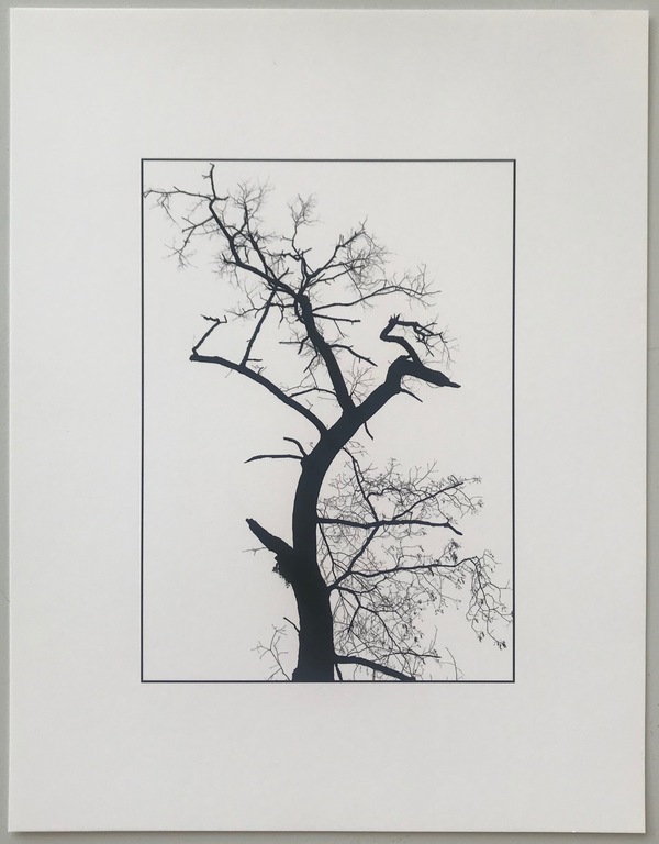 #28 Jane Deering Gallery Absolute Secret 2020