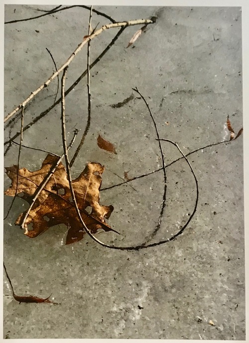 #12 Jane Deering Gallery Absolute Secret 2020