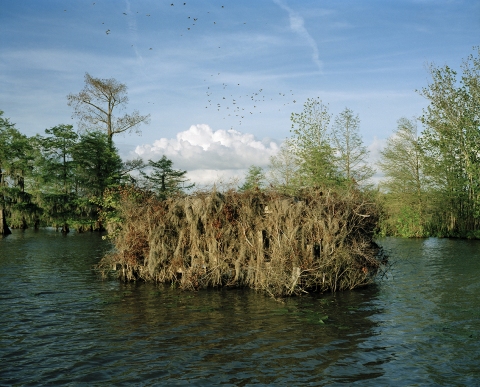 Calcasieu River near Bird Island Bay, Louisiana Jane Deering Gallery Nell Campbell C-print