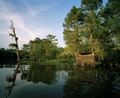 Moss Bluff Bay IV, Louisiana Jane Deering Gallery Nell Campbell C-print