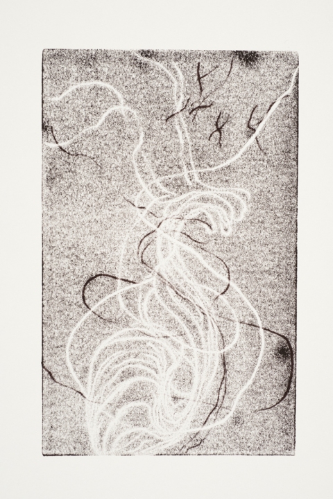 Rouleau de Fantome Jane Deering Gallery Marie Schoeff Trace drawing
