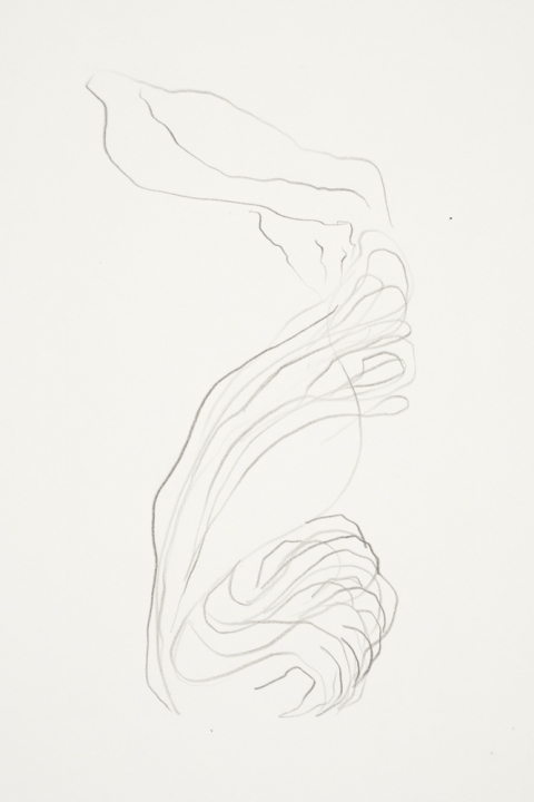 Ghost Tail, verso Jane Deering Gallery Marie Schoeff Trace drawing