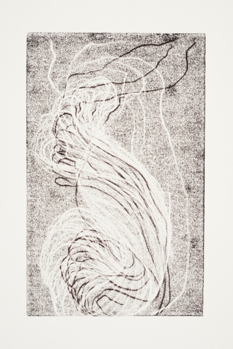 Ghost Tail, recto Jane Deering Gallery Marie Schoeff Trace drawing