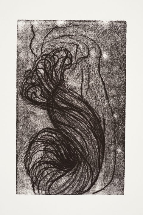 Hank Jane Deering Gallery Marie Schoeff Trace drawing