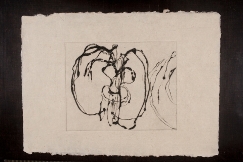 Graine Jane Deering Gallery Marie Schoeff Drypoint