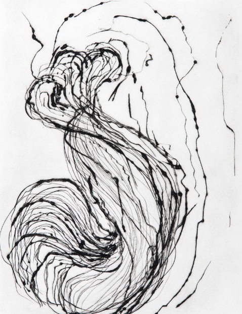 Coil - Fourth Jane Deering Gallery Marie Schoeff Drypoint