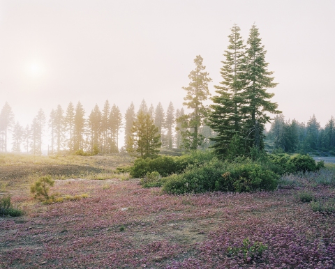 Sunset I Jane Deering Gallery Youngsuk Suh Archival pigment print