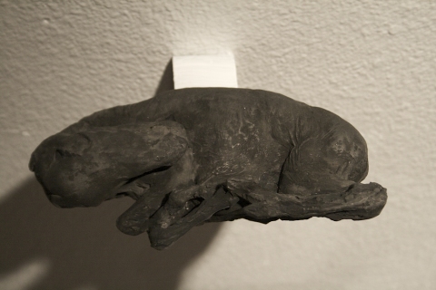 Fetus Jane Deering Gallery Exhibition: MFA candidates . UCSB & UCDavis