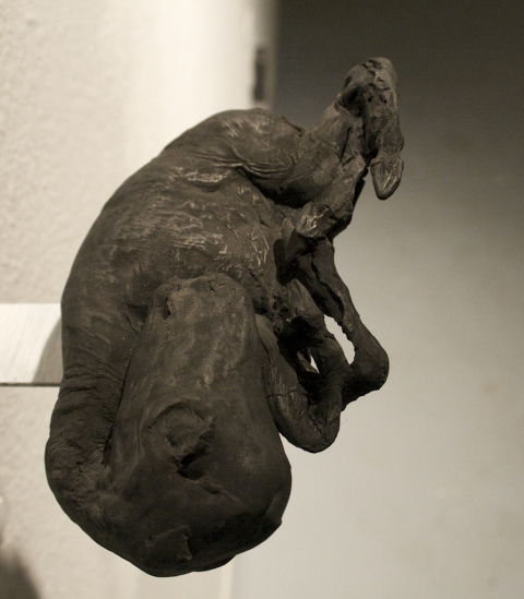 Fetus Jane Deering Gallery Exhibition: MFA candidates . UCSB & UCDavis