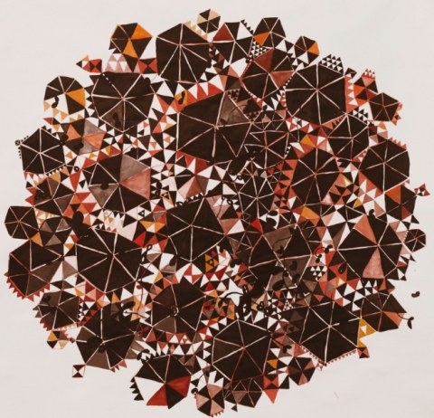 Sprouting Star Jane Deering Gallery Exhibition: MFA candidates . UCSB & UCDavis Sumi ink and watercolor on paper