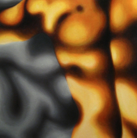Back Shadows Jane Deering Gallery Exhibition: MFA candidates . UCSB & UCDavis Oil on canvas