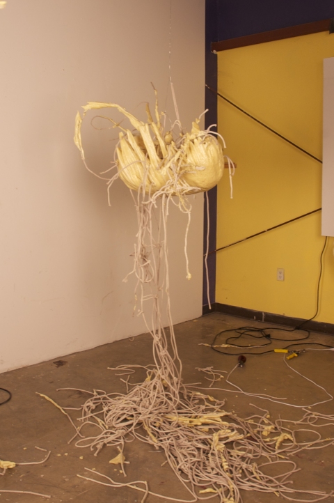 Untitled Fox 1 Jane Deering Gallery Exhibition: MFA candidates . UCSB & UCDavis Polyurethane foam, rope
