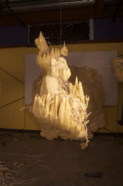 Untitled Fox 2 Jane Deering Gallery Exhibition: MFA candidates . UCSB & UCDavis Polyurethane foam, rope