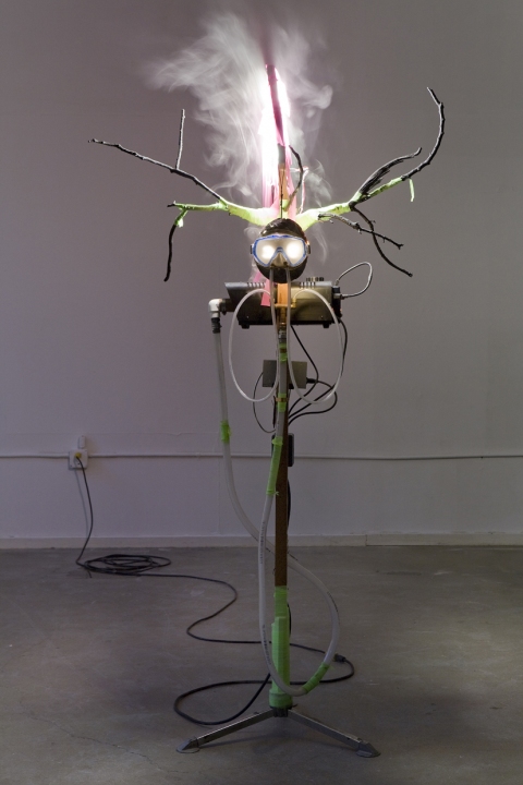 Fog Gogs Jane Deering Gallery Exhibition: MFA candidates . UCSB & UCDavis Abalone shell, diving goggles, fog machine, surveyor's tape, redwood