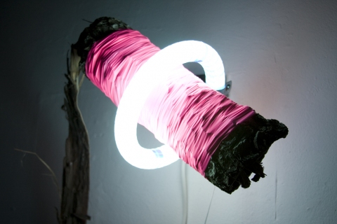 Y (detail) Jane Deering Gallery Exhibition: MFA candidates . UCSB & UCDavis Bark, surveyor's tape, tarp strips, fluorescent light, hardware