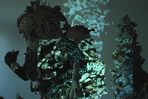 Still shot from the video 'Untitled Performance' Jane Deering Gallery Exhibition: MFA candidates . UCSB & UCDavis video
