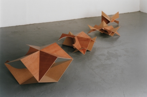 Trajet Tiare Jane Deering Gallery Birgit Faustmann Plywood, punched masonite