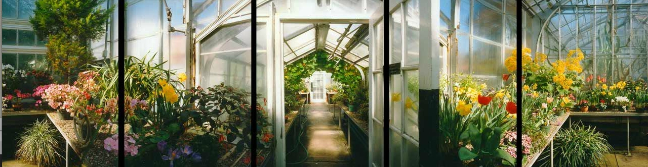 Private Estate Greenhouse, Wellesley, MA Jane Deering Gallery Selection of works Digital C-print