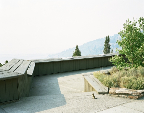 Squirrel Jane Deering Gallery Youngsuk Suh Archival pigment print
