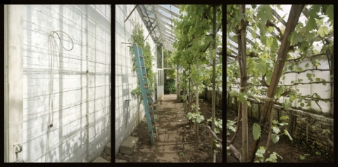 Rodmarton Manor, UK Jane Deering Gallery Esther Pullman C-print