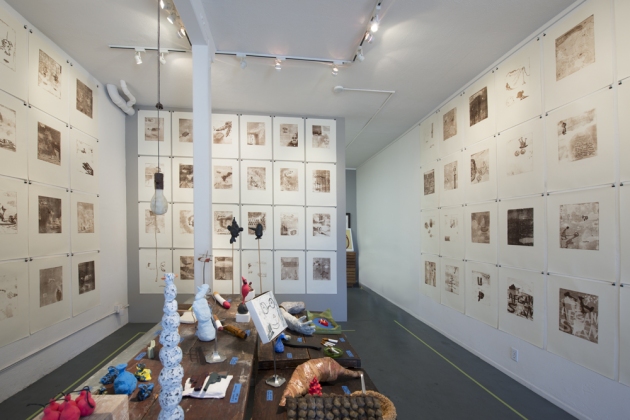 Installation shot Jane Deering Gallery Dane Goodman + Keith Puccinelli March 5 - 30 . 2013