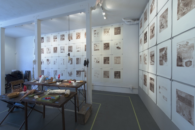 Installation shot Jane Deering Gallery Dane Goodman + Keith Puccinelli March 5 - 30 . 2013