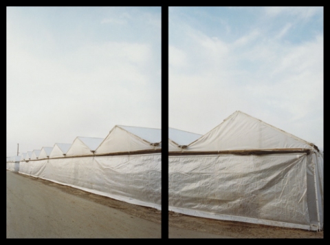 Tents, Carpinteria CA Jane Deering Gallery Esther Pullman C-print