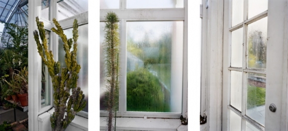 Reynolda Greenhouse, North Carolina Jane Deering Gallery Esther Pullman C-print