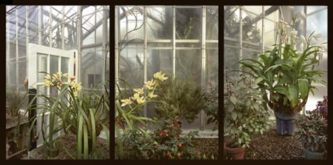 Seasonal Display House, Wellesley College, Massachusetts Jane Deering Gallery Esther Pullman C-print