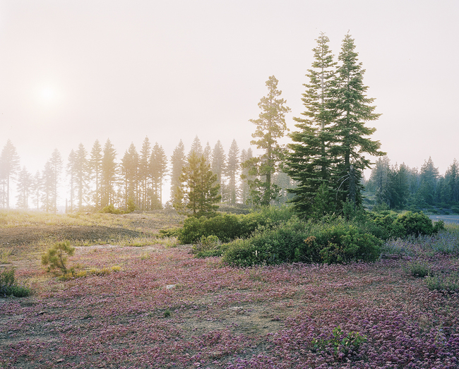 Sunset I Jane Deering Gallery Selection of works Archival Pigment Print