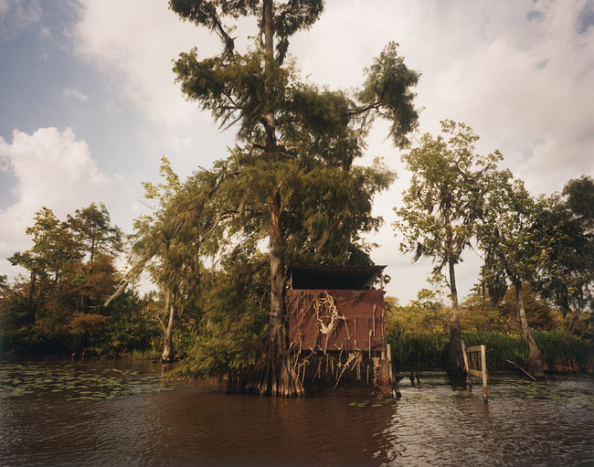 Moss Bluff Bay I Jane Deering Gallery Selection of works Archival pigment print