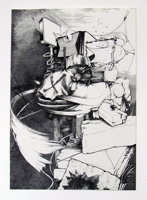 Machine Code Jane Deering Gallery Exhibition: The Land Has Many Parts . selected images Ink on paper