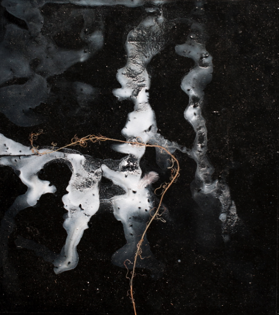 Death of Nature #4 Jane Deering Gallery Exhibition: The Land Has Many Parts . selected images Acrylic and gouache on paper