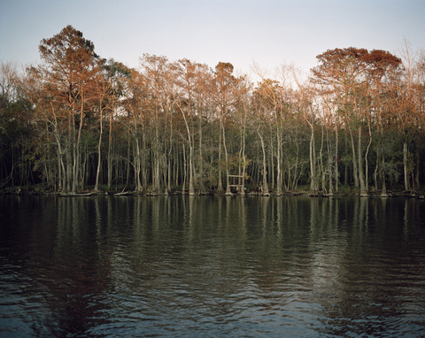 Berry Bay Jane Deering Gallery Nell Campbell Archival Pigment Print