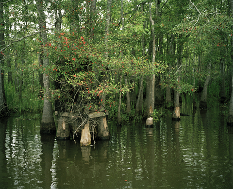 Goss Bay II Jane Deering Gallery Nell Campbell Archival Pigment Print