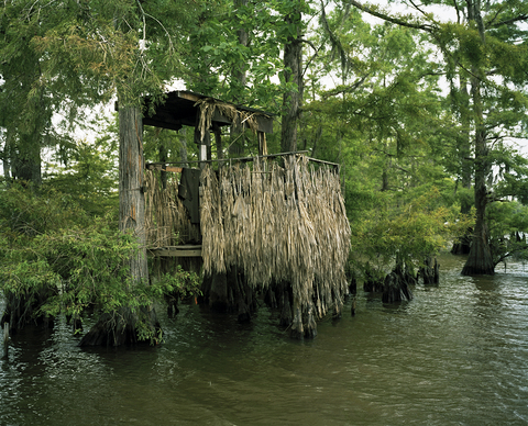 Moss Bluff Bay II Jane Deering Gallery Nell Campbell Archival Pigment Print