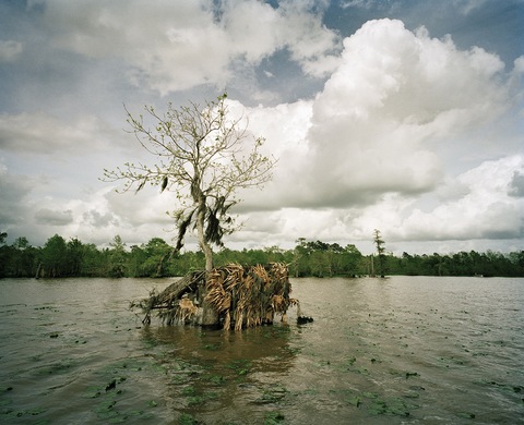 Bird Island Bay Jane Deering Gallery Nell Campbell Archival Pigment Print