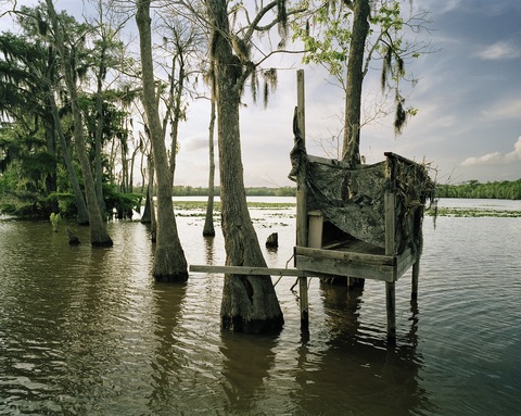 Berry Bay III Jane Deering Gallery Nell Campbell Archival Pigment Print