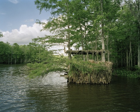 Dan's Bay I Jane Deering Gallery Nell Campbell Archival Pigment Print