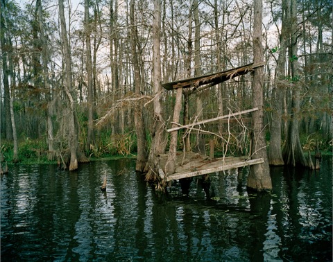 Watermelon Bay V Jane Deering Gallery Nell Campbell Archival Pigment Print