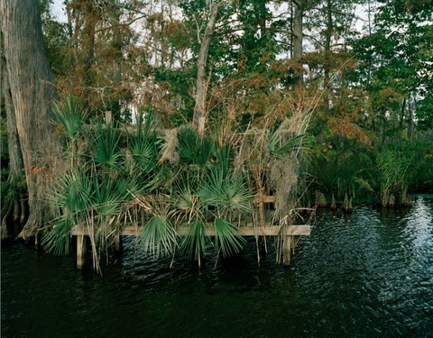Watermelon Bay VII Jane Deering Gallery Nell Campbell Archival Pigment Print